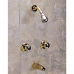 Multi-Ring- 2 Handle Shower & Tub Faucet