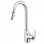 Anu- Pull-Down Kitchen Faucet