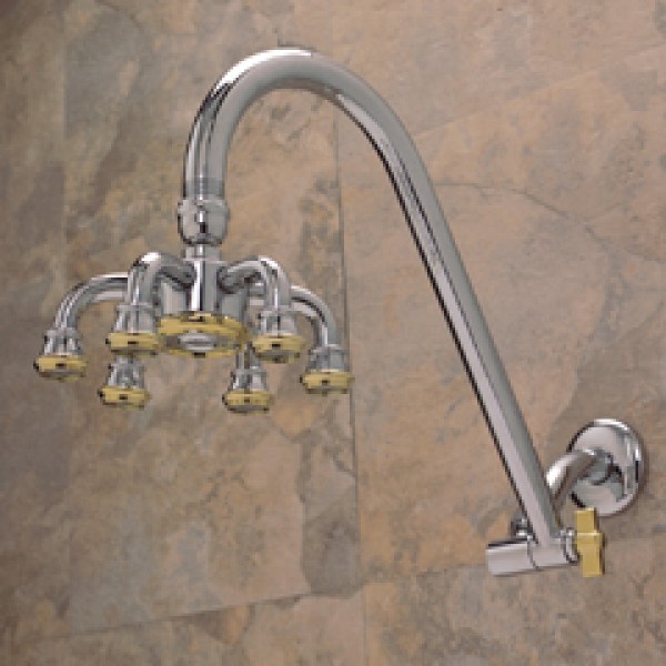 Mirage Showerhead with Curved Adjustable Arm